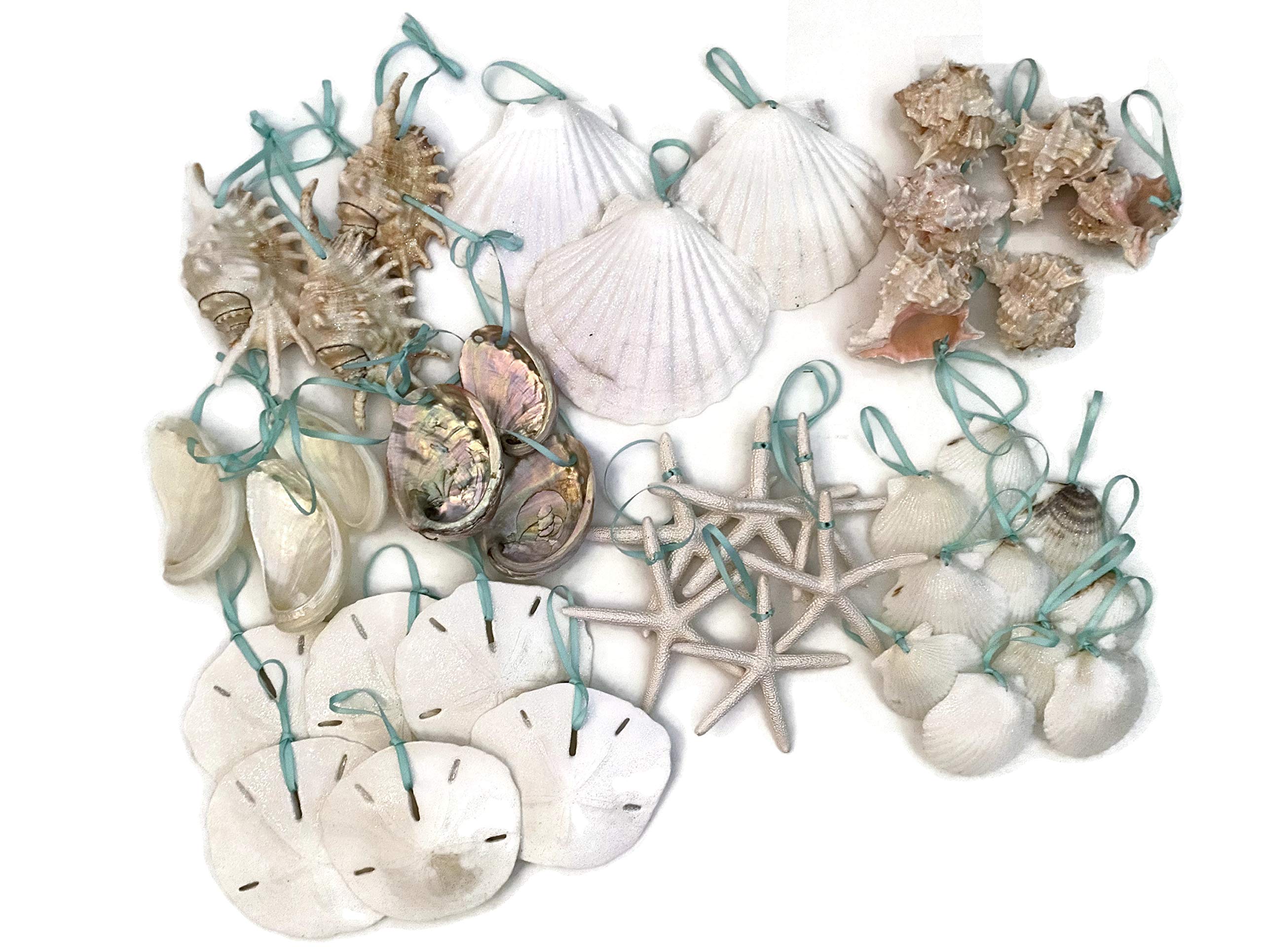 Beach Seashell and Starfish Christmas Tree Ornament Package (Deluxe Seashell and Starfish Package)
