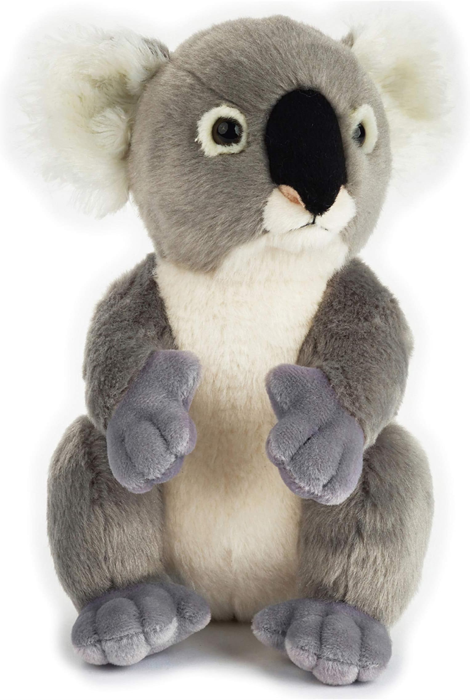 NATIONAL GEOGRAPHIC Lelly Basic Plush, Koala, Grey