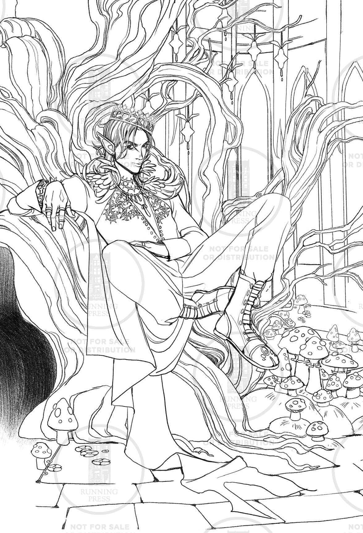Holly Black's Faerie Coloring Postcards: 50 Original Designs to Color and Share from the World of Elfhame