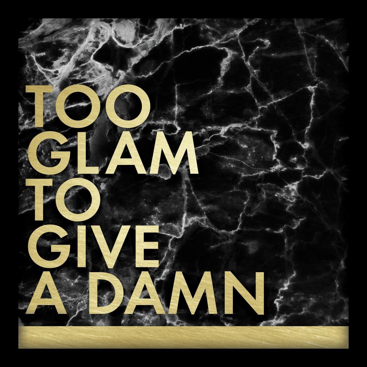 Linden Ave AVE10353 Too Glam to Give A Damn Shadowbox Wall Art