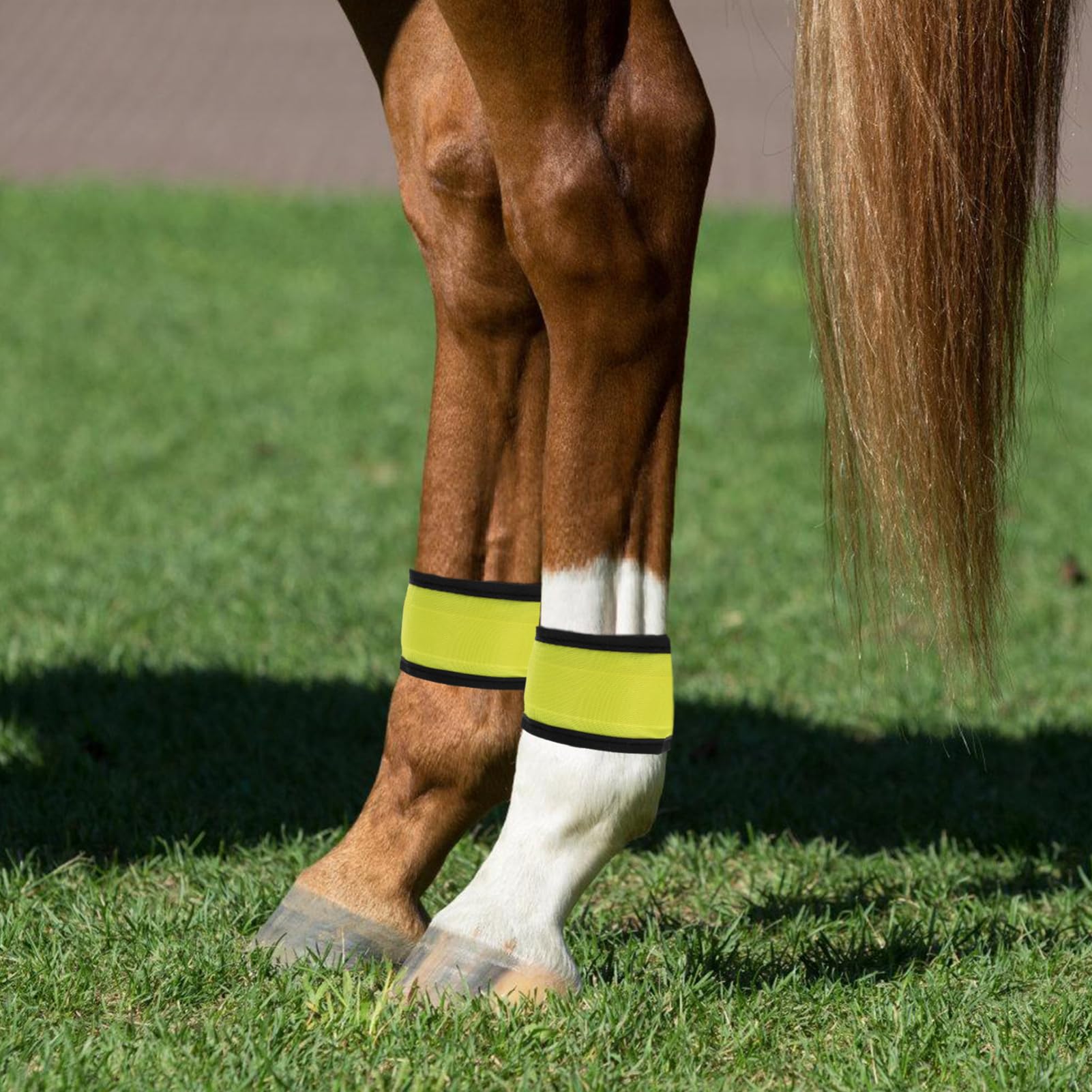 Leuchtring Pferd LED Beinband aus 4 Stück Verschleißfestes und Tragbares Pferdezubehör für Nachtreiten und Training Gelbe Reflektierende Gamaschen für Pferde