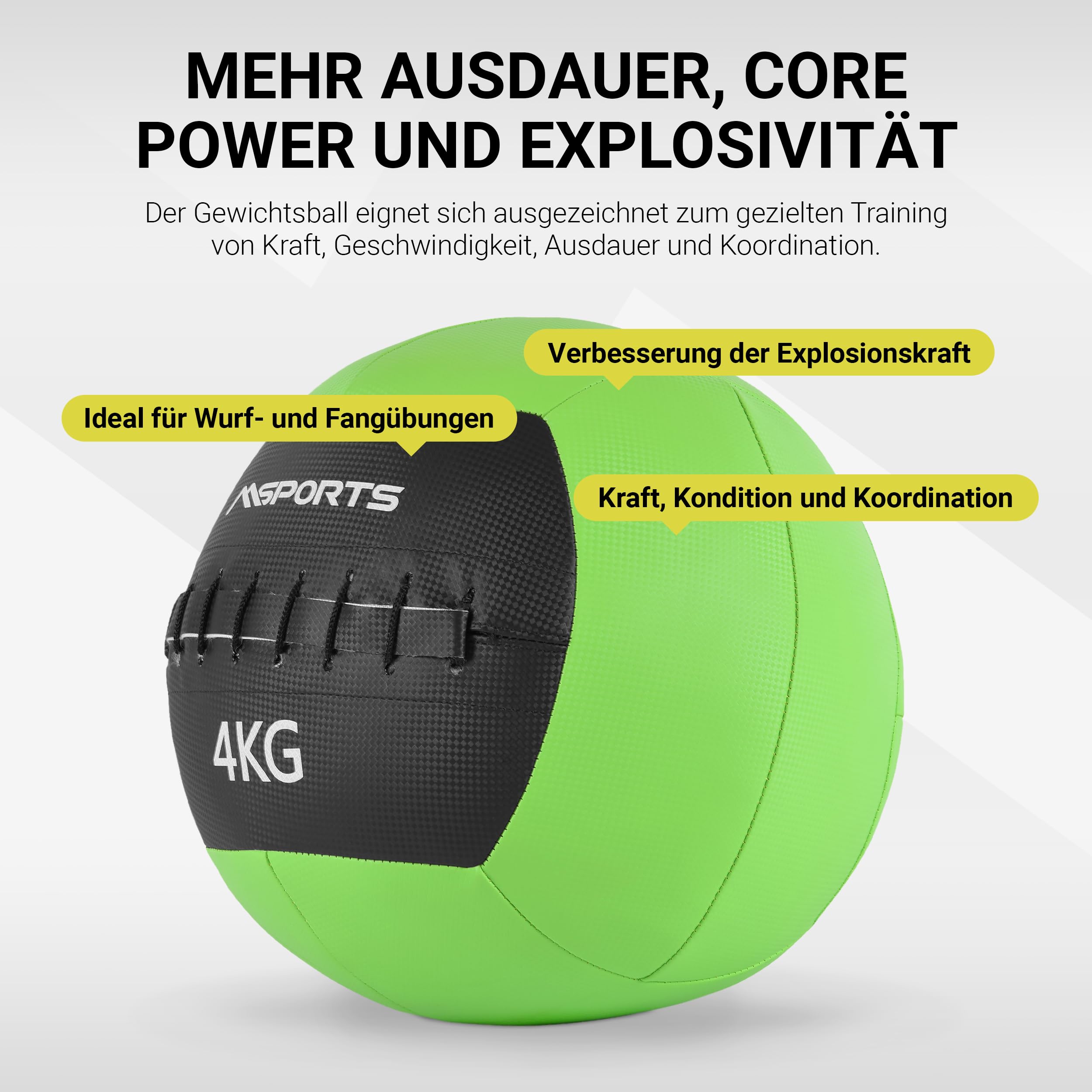 MSPORTS Wall Ball Premium | 2-10 kg | Qualita Studio Professionale | per Palestra, Allenamento Fitness, Body Building, Fisioterapia, Fuctional Fitness | Colori Diversi