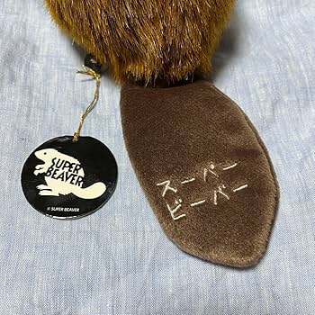 81mijiQQ6WL._AC_UF350,