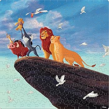 81miqH662RL._AC_UF350,