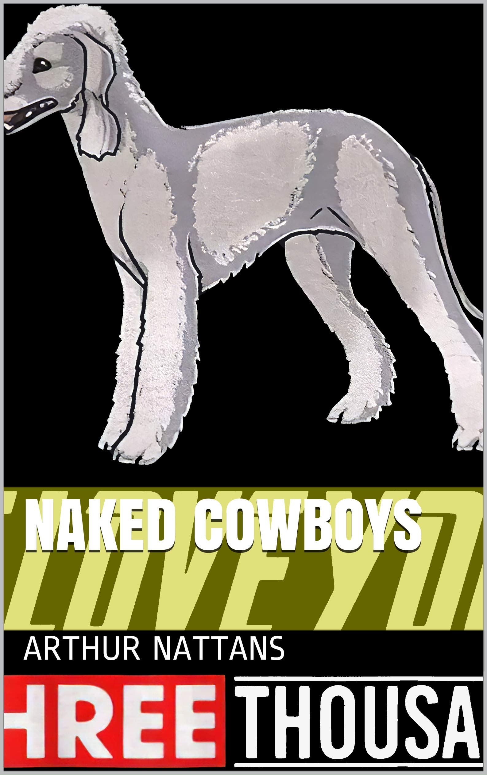 Naked Cowboys