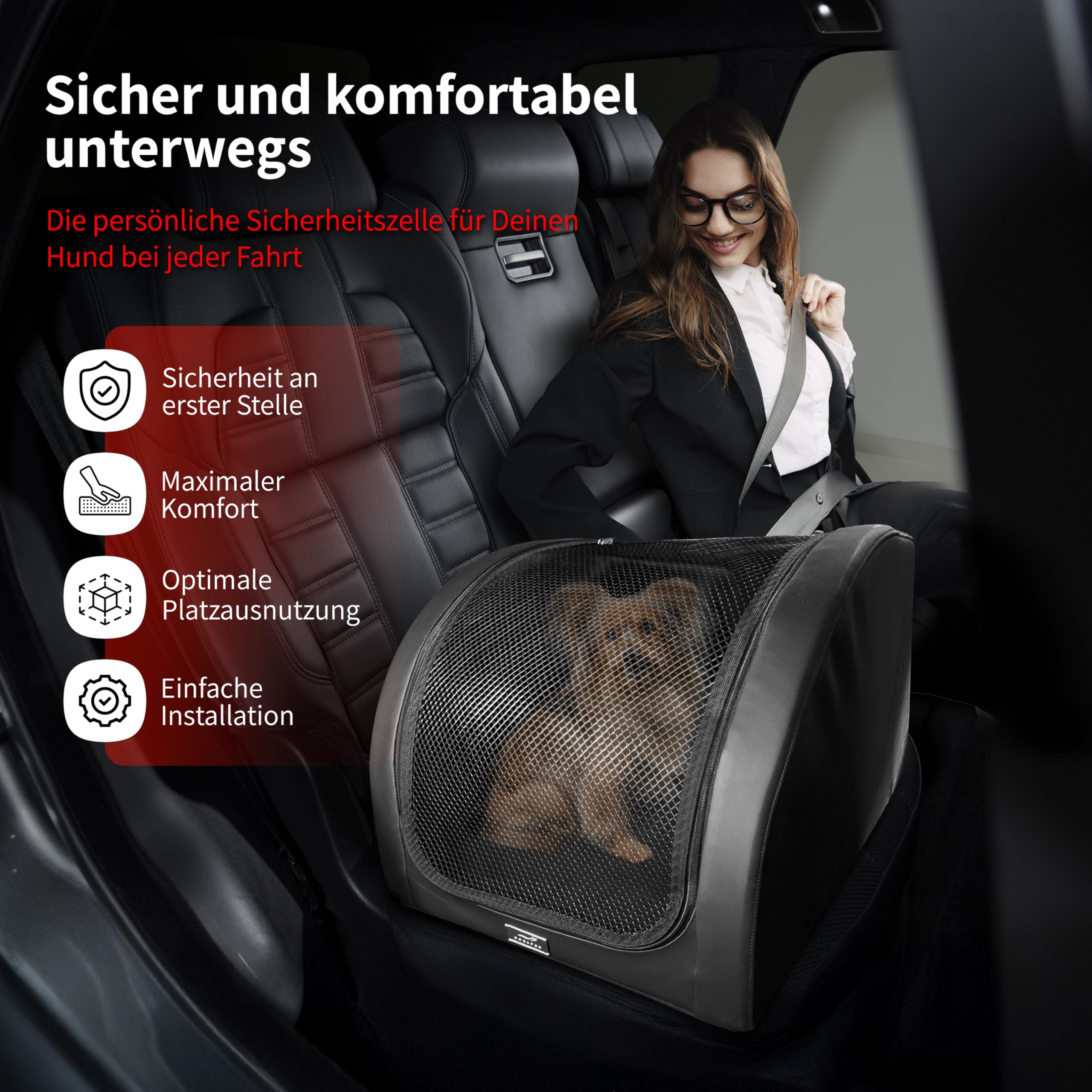 Isofix Cane Box per auto (nero, XXS)