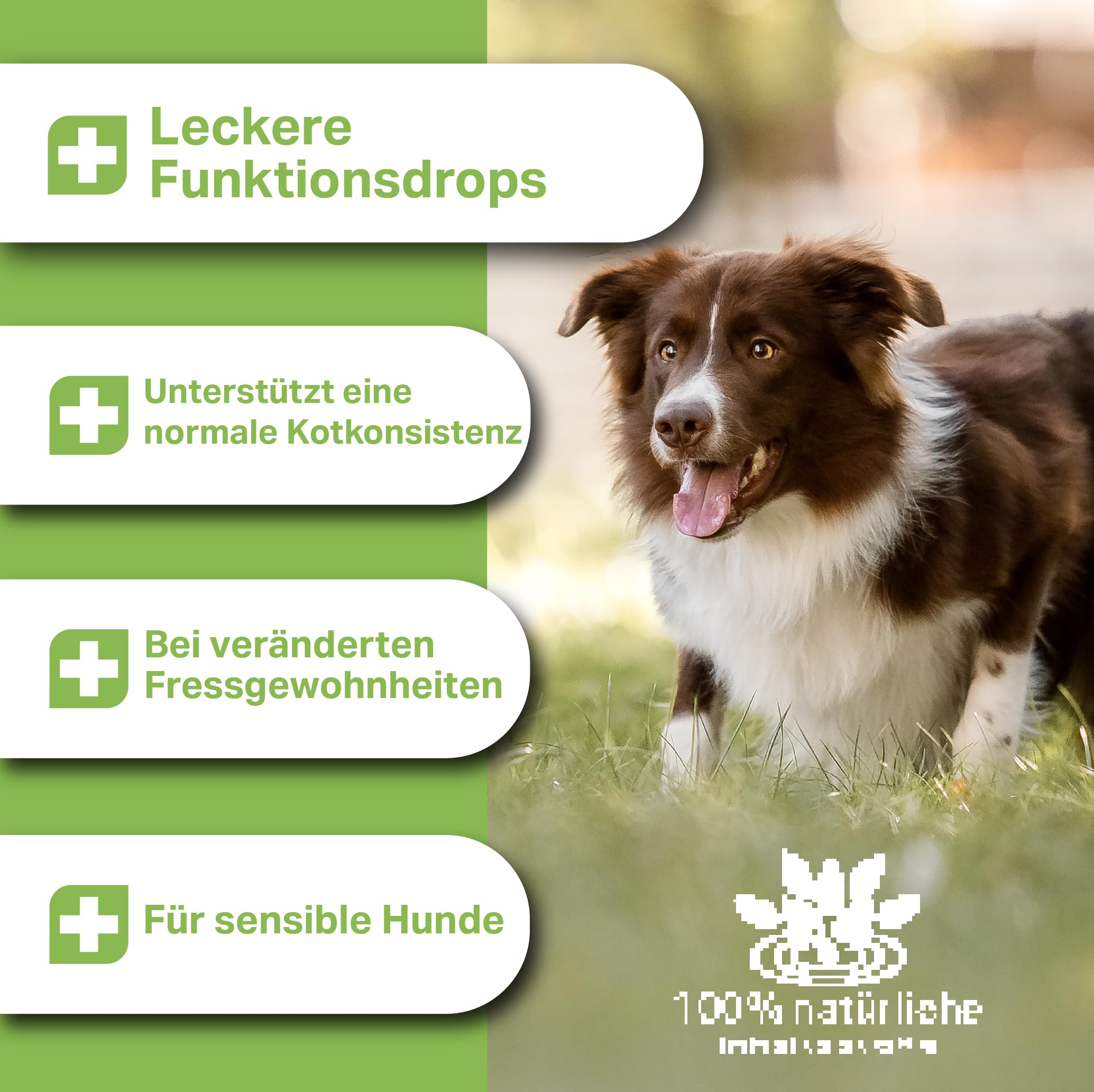 MEDIDOG Darm Aktiv Drops – 400 g – kaltgepresste Drops für alle Hunde – unterstützt eine ausgeglichene Darmfunktion und Normale Kotbeschaffenheit – mit Inulin, MOS & Flohsamenschalen