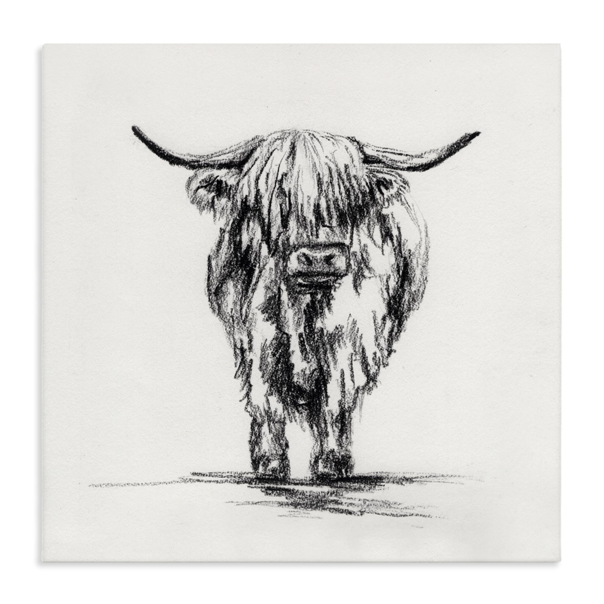 Stupell Industries Unframed 'Highland Cow In Charcoal', Canvas Art, 24 X 24 Inches, Easy To Hang And Sturdy, Made In Usa, By Leah Noel Art