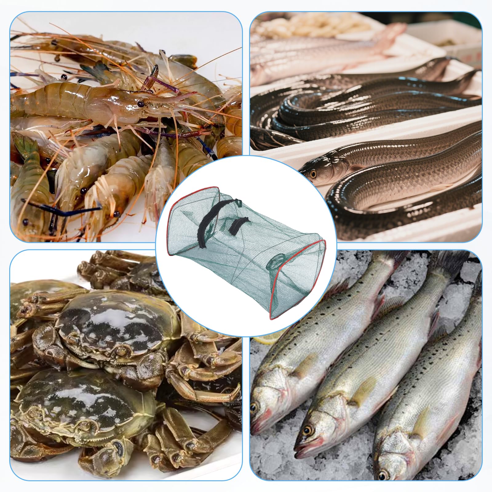 Lot De 3 Reuses De PêChe à L'Anguille pour PêChe - PièGe à Poissons Pliable - Ruse à Crabe