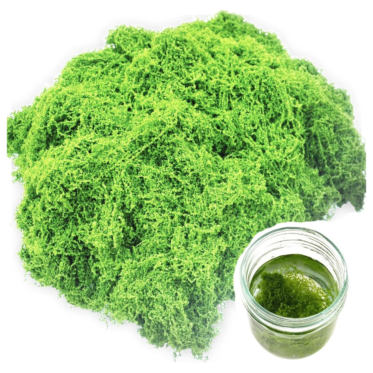 DIWAL Fake Moss,Artificial Moss for Indoor Plant Pots, Light Green Faux moss Balls,Decorative Artificial Plants,for Wreath Making/Floristry/Crafts/Arts/Home/Garden/Patio/Easter Decorations(100g)