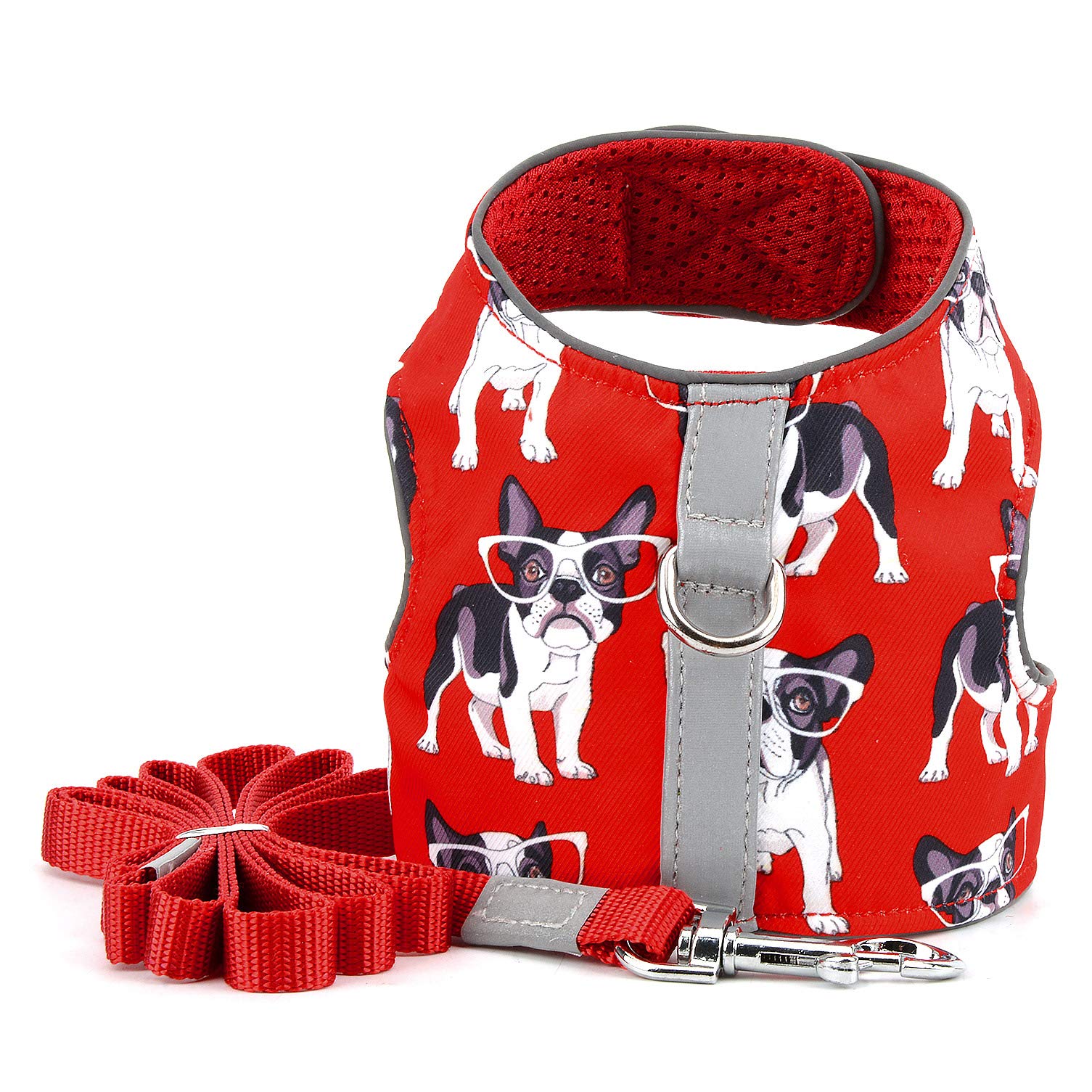 Amazon | RANPHY 犬 ハーネス 小型犬 猫用 ベスト ハーネス リード