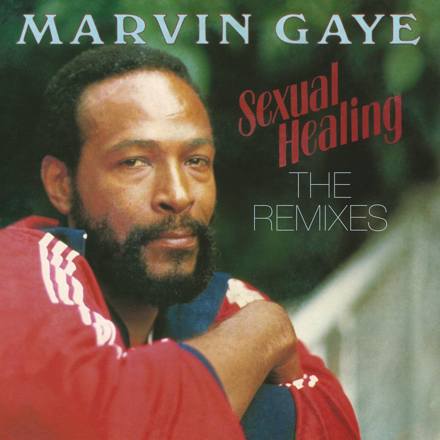 洋楽 Marvin Gaye Sexual Healing Remix Sexual Healing: The Remixes [12