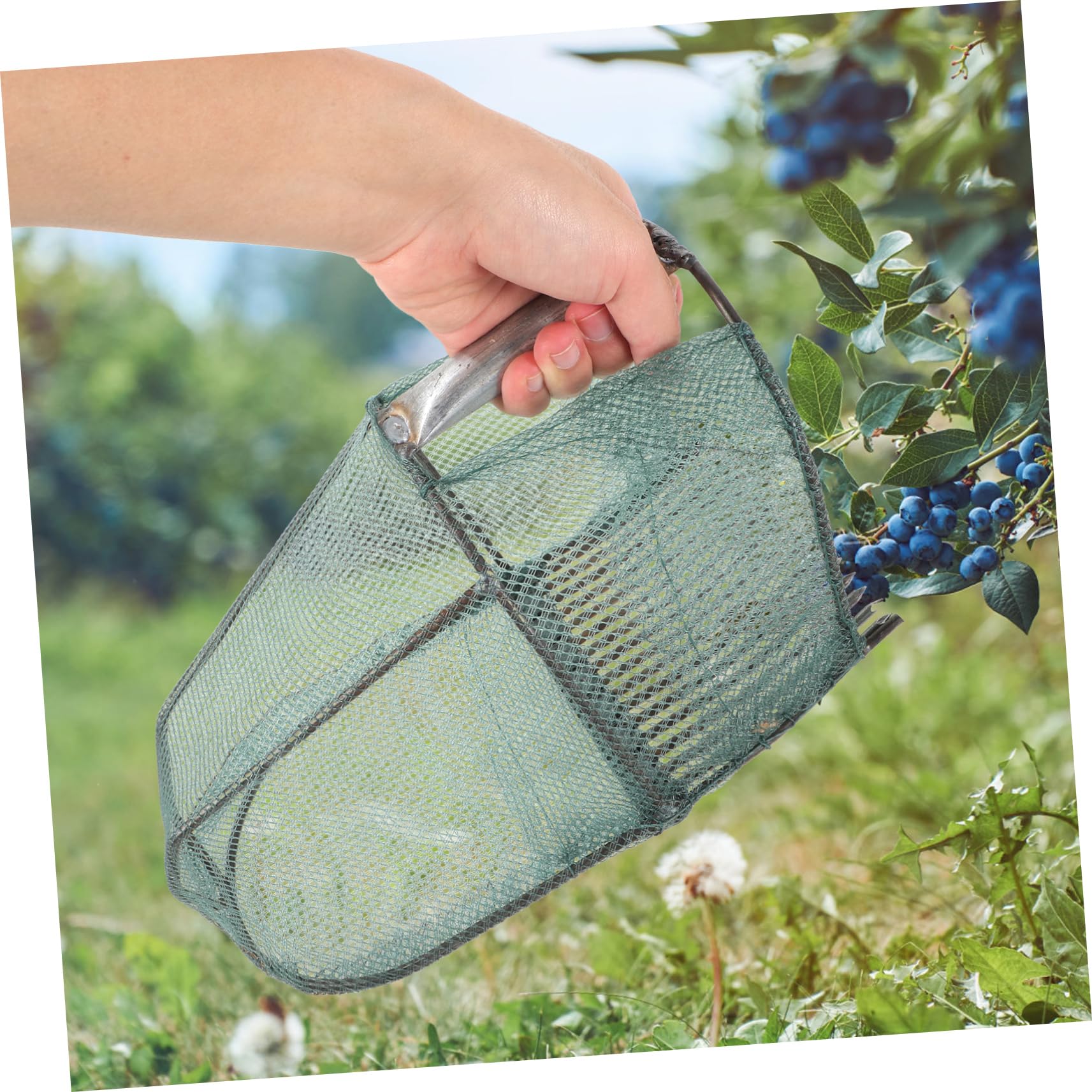 TOYANDONA Cueilleur de Myrtilles Vert Léger avec 16 Dents en Acier Inoxydable et Panier Pliable Cueillette Facile des Fruits Le Jardin