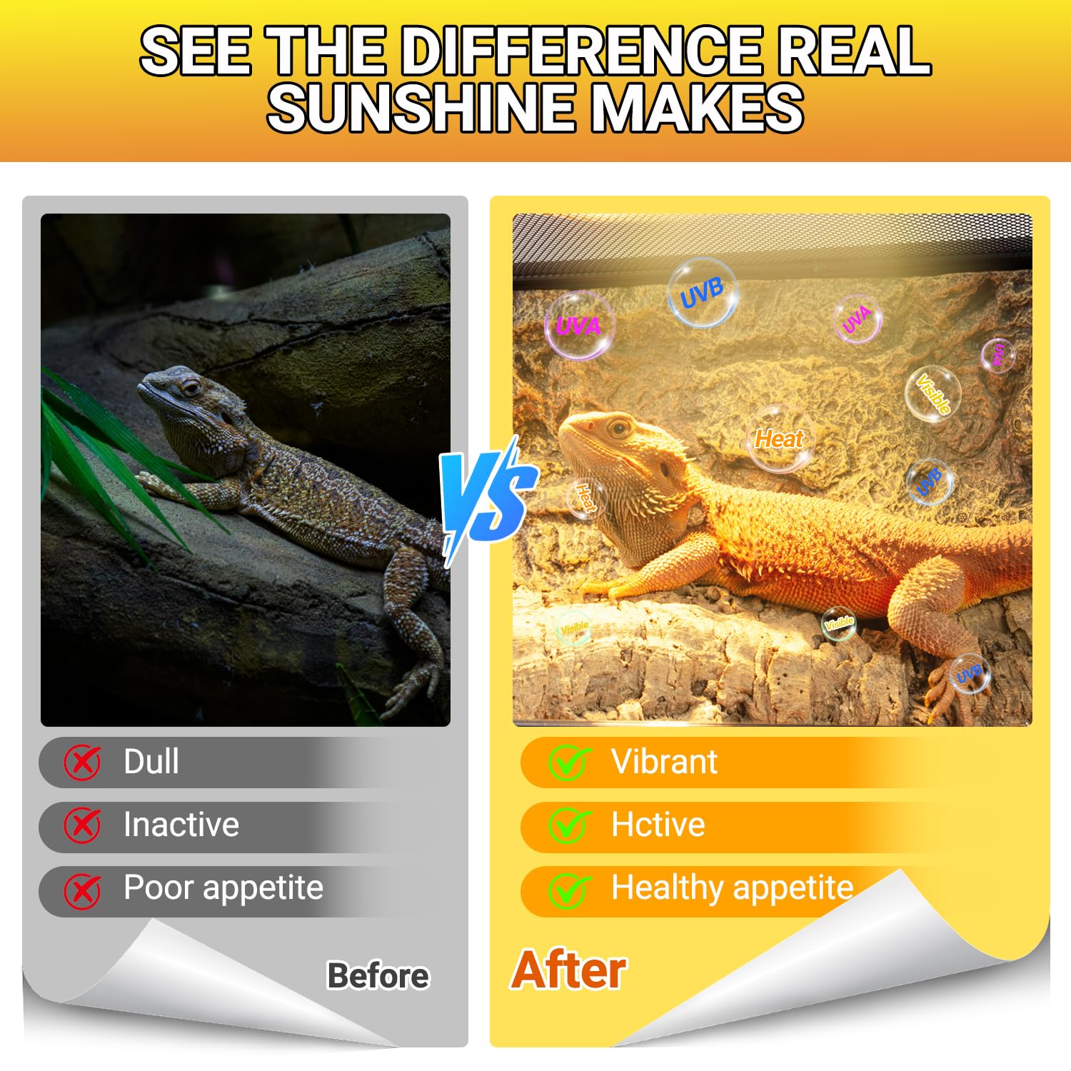 REPTI ZOO 2PACK Reptile Heat Lamp Bulb, 100W Full Spectrum UVA UVB Sun Lamp, Self-Ballasted Vapor Basking Lamp for Bearded Dragon Gecko Lizard Snake Chameleons Turtle Chicken - image 4