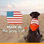 Nylabone Dura Chew Toy, Regular Size, Red/White and Blue, Triple Pack