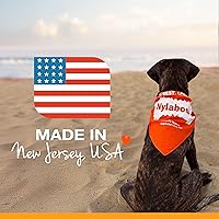 Vista 10 de Nylabone Healthy Edibles Natural Dog Chews - Golosinas masticables de larga duración con sabor a tocino para perros, pequeños/regulares (1 unidad)