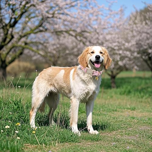 Miniatura 10 de ARING PET Collar de algodón ajustable para perros pequeños, ligeros y cómodos, con hebilla de liberación rápida para perros pequeños, medianos y