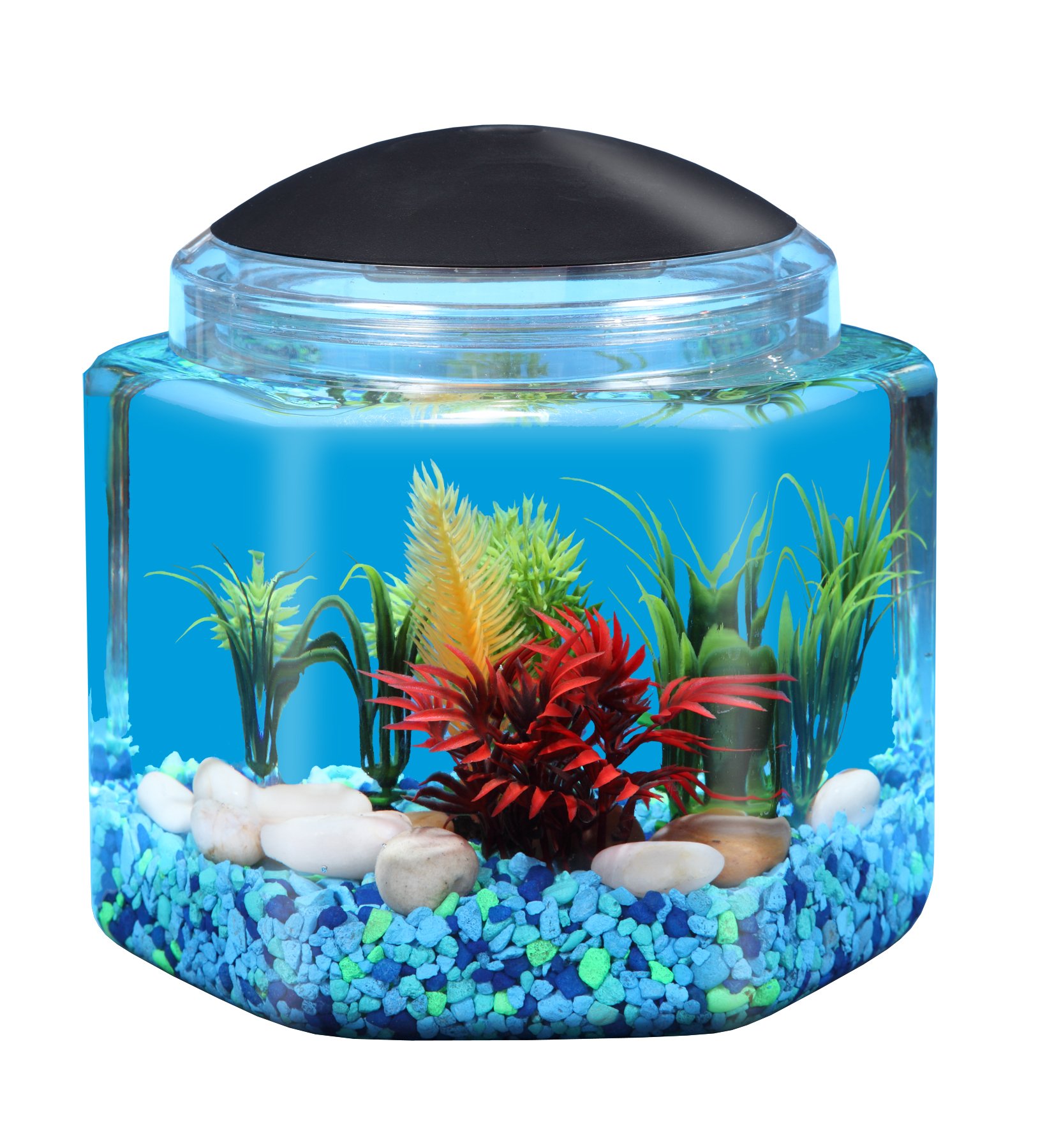 1 Gallon Fish Tanks: Top Choices for Small Aquariums 4 Koller Products 1 Gallon Hex BettaTank - LED Lighting