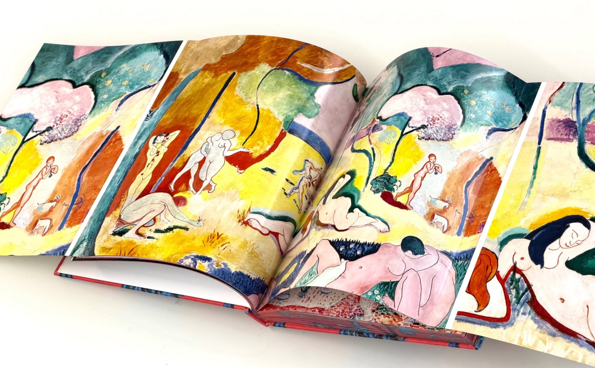 Matisse: The Bigger Picture