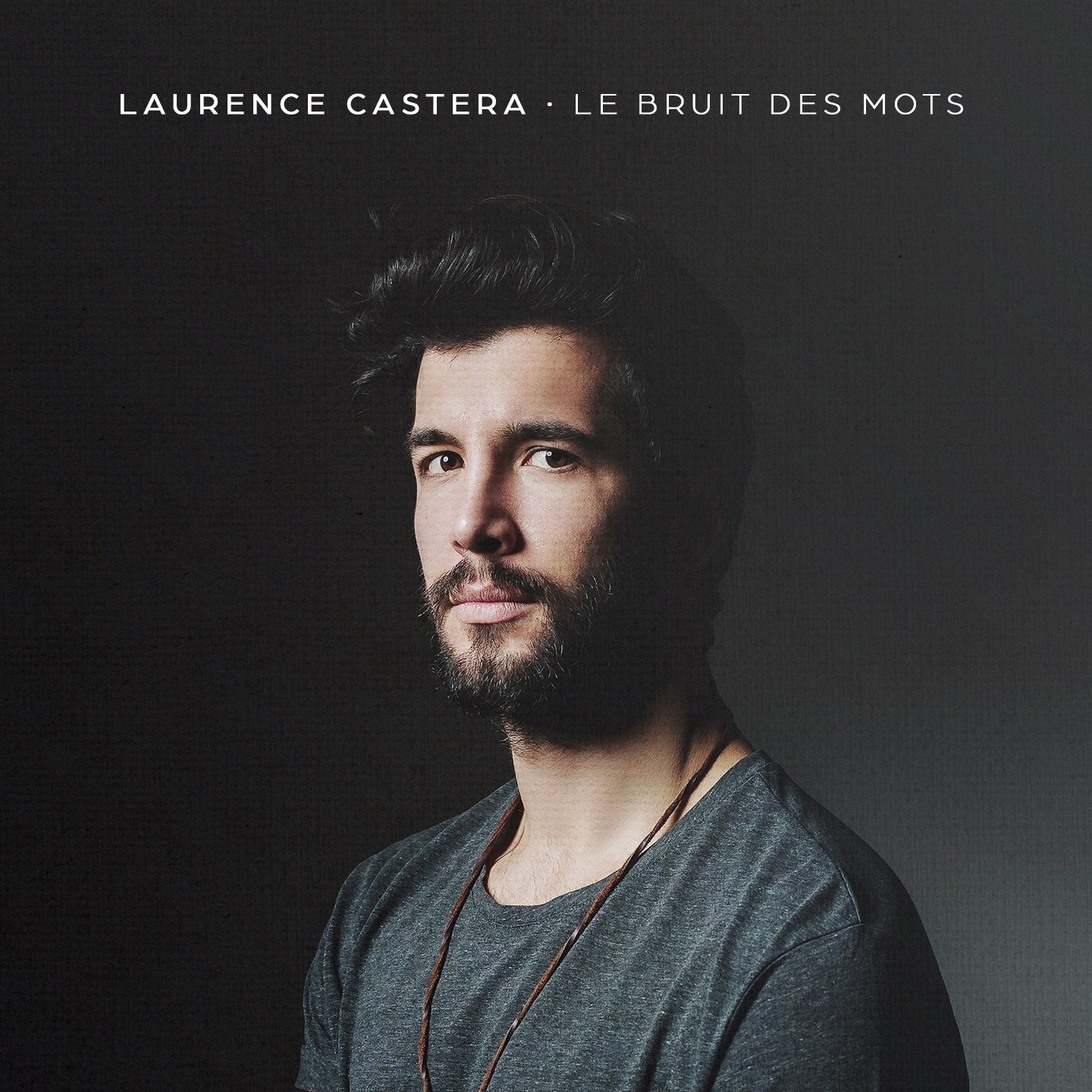 Le Bruit Des Mots [Audio CD] Laurence Castera