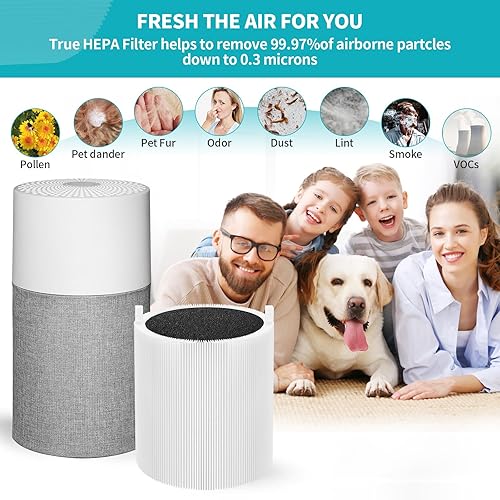 Miniatura 5 de DerBlue 2 filtros de repuesto 511 compatibles con el purificador de aire Blueair Blue Pure 511, incluye 2 partículas y 2 carbón activado