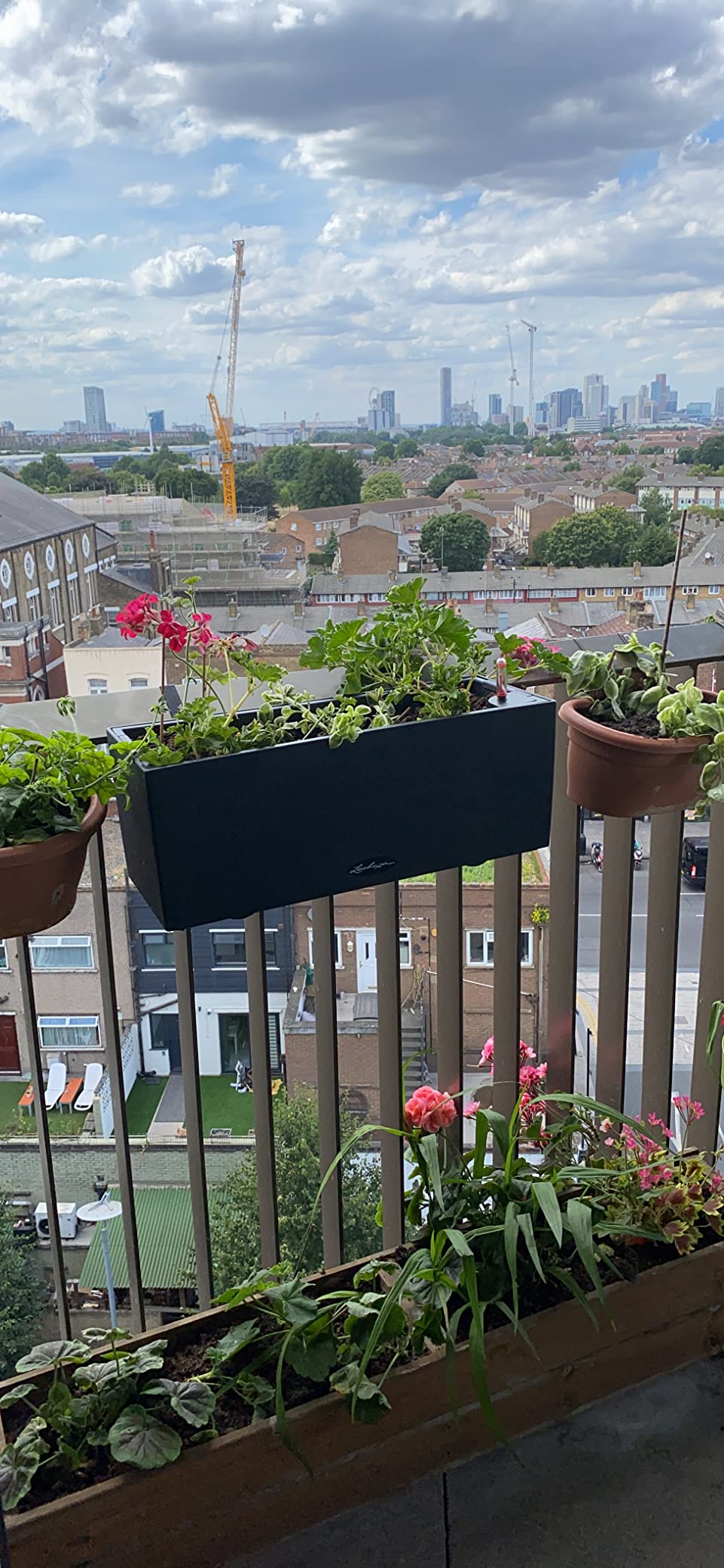 Customer photo