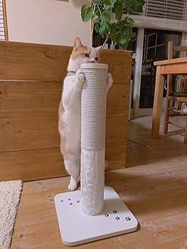 まり様♡専用ページ2点 楽天市場】セフティ-3 刈払機用スパークプラグ No.25 BPMR8Y