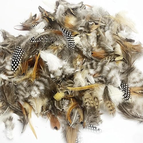 Miniatura 4 de 390 plumas naturales de 13 estilos surtidos de plumas para atrapasueños y manualidades (13 estilos390 piezas)