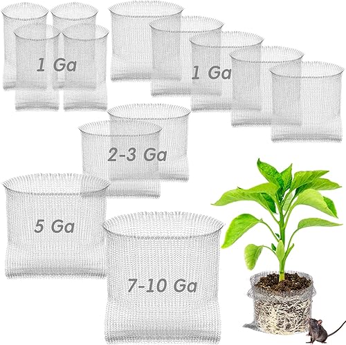 24 cestas de protección de raíces, cestas de alambre resistentes de acero inoxidable para plantas, 5 tamaños, cesta de alambre grande, jaula de disponible en Yaxa Peru