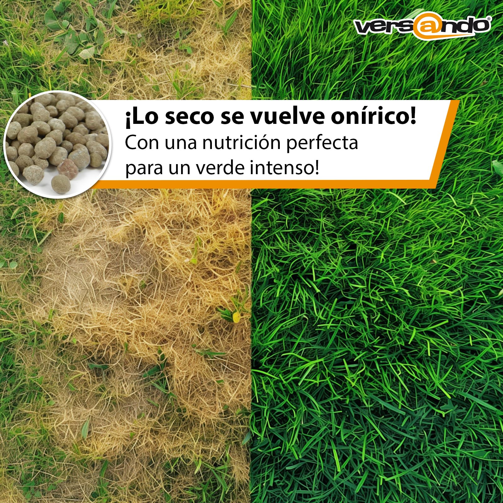 versando 10 kg hasta 500 m² de abono prolongado césped: aporte nutritivo perfecto, efecto prolongado de hasta 12 semanas, ideal para un césped denso y verde