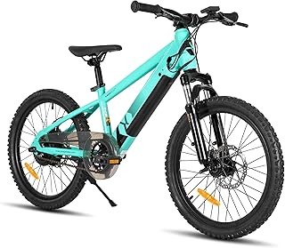 JOYSTAR 20 Zoll Elektrofahrrad für Kinder und Jugendliche ab 7 Jahren mit 250W bürstenlosem Motor, 15 Meilen 15MPH Elektro-Mountainbike mit abnehmbarem Akku,grün