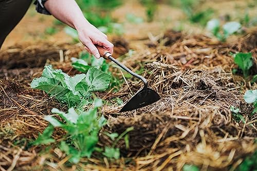 Miniatura 4 de Barebones Azada triangular - Azada de acero inoxidable - Herramientas de jardinería japonesas para deshierbe, mango largo y azada de mano