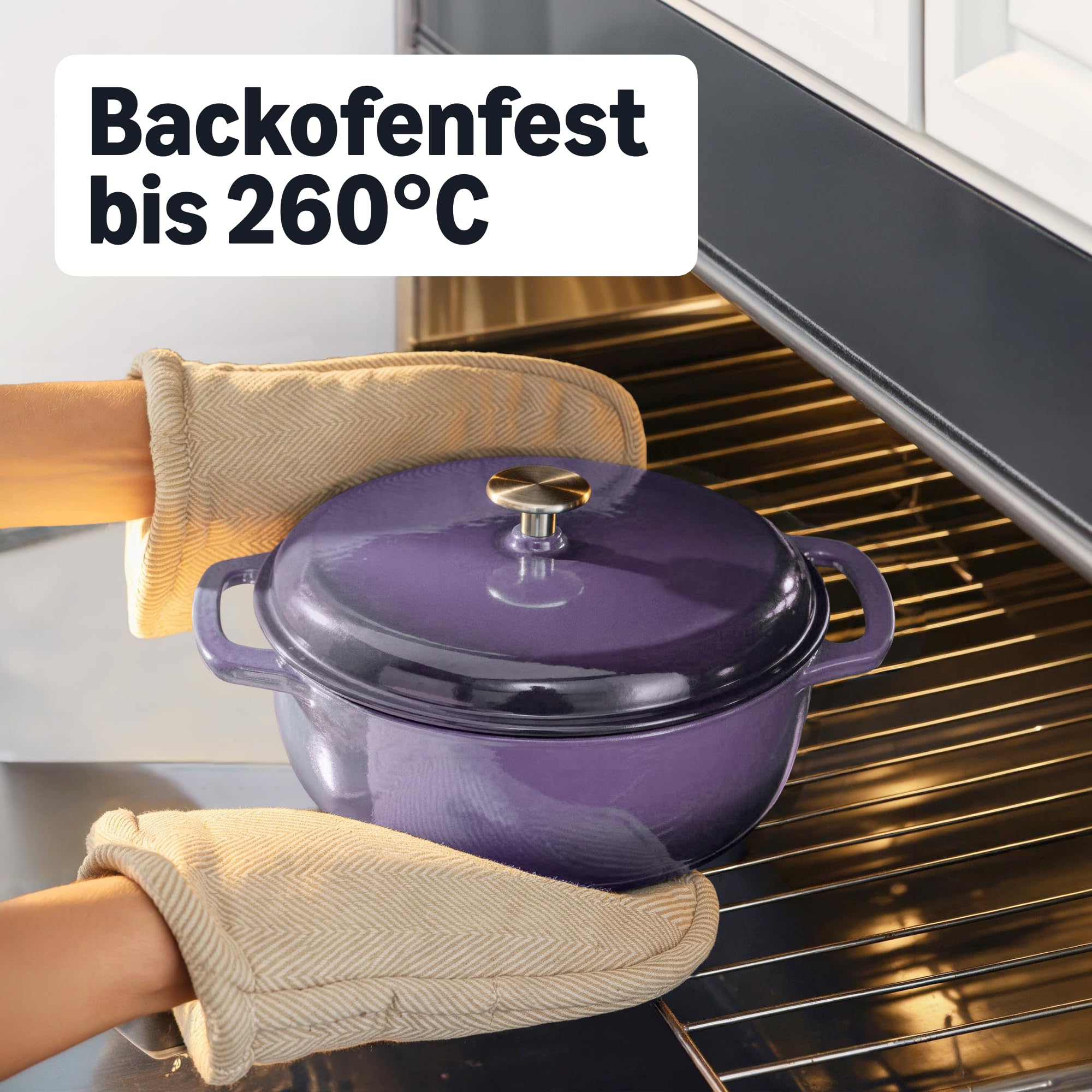 Amazon Basics Schmortopf Rund aus Emailliertem Gusseisen mit Deckel, 5,7 L, Violett