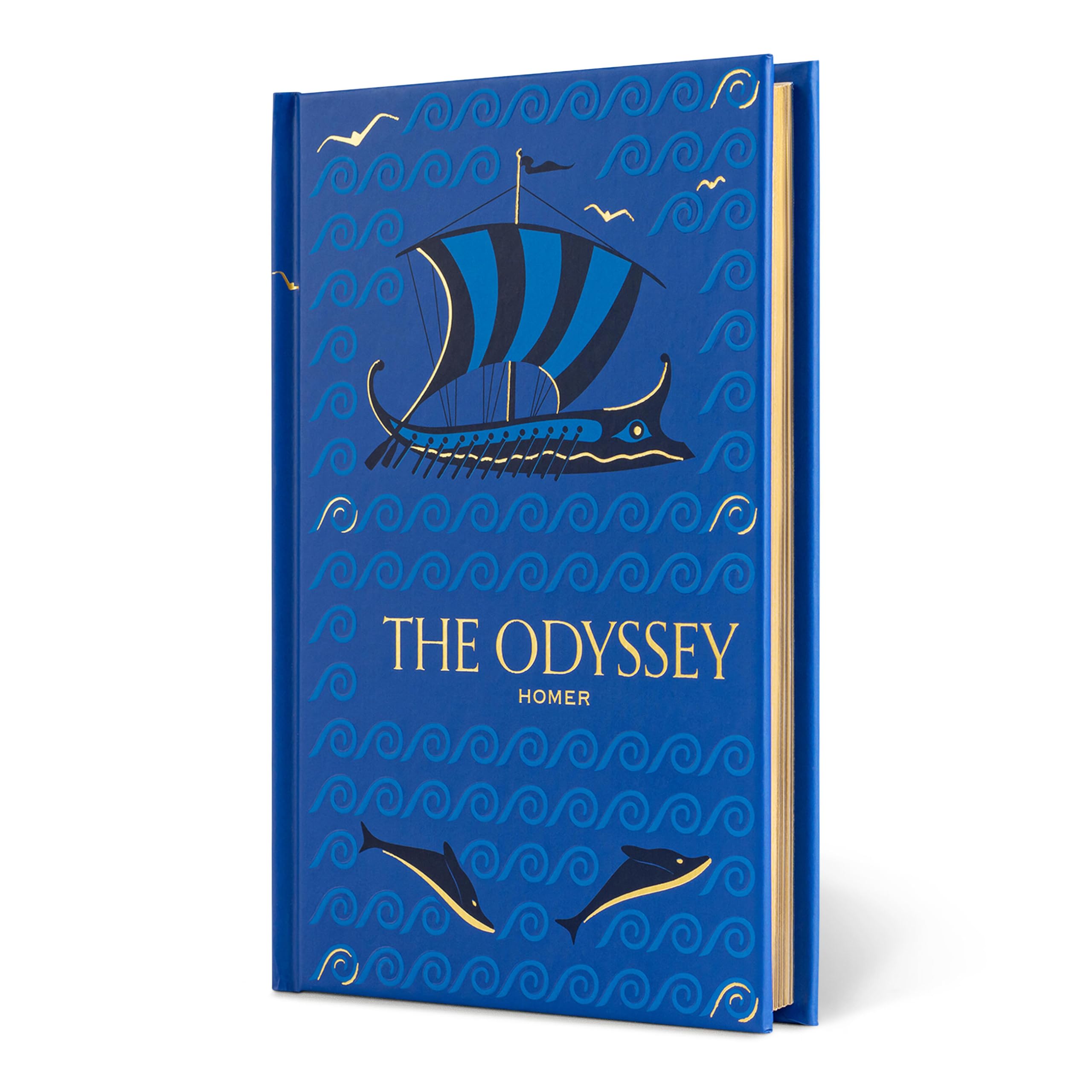 The Odyssey (Special Edition) by Homer Homer (Hardback Book)