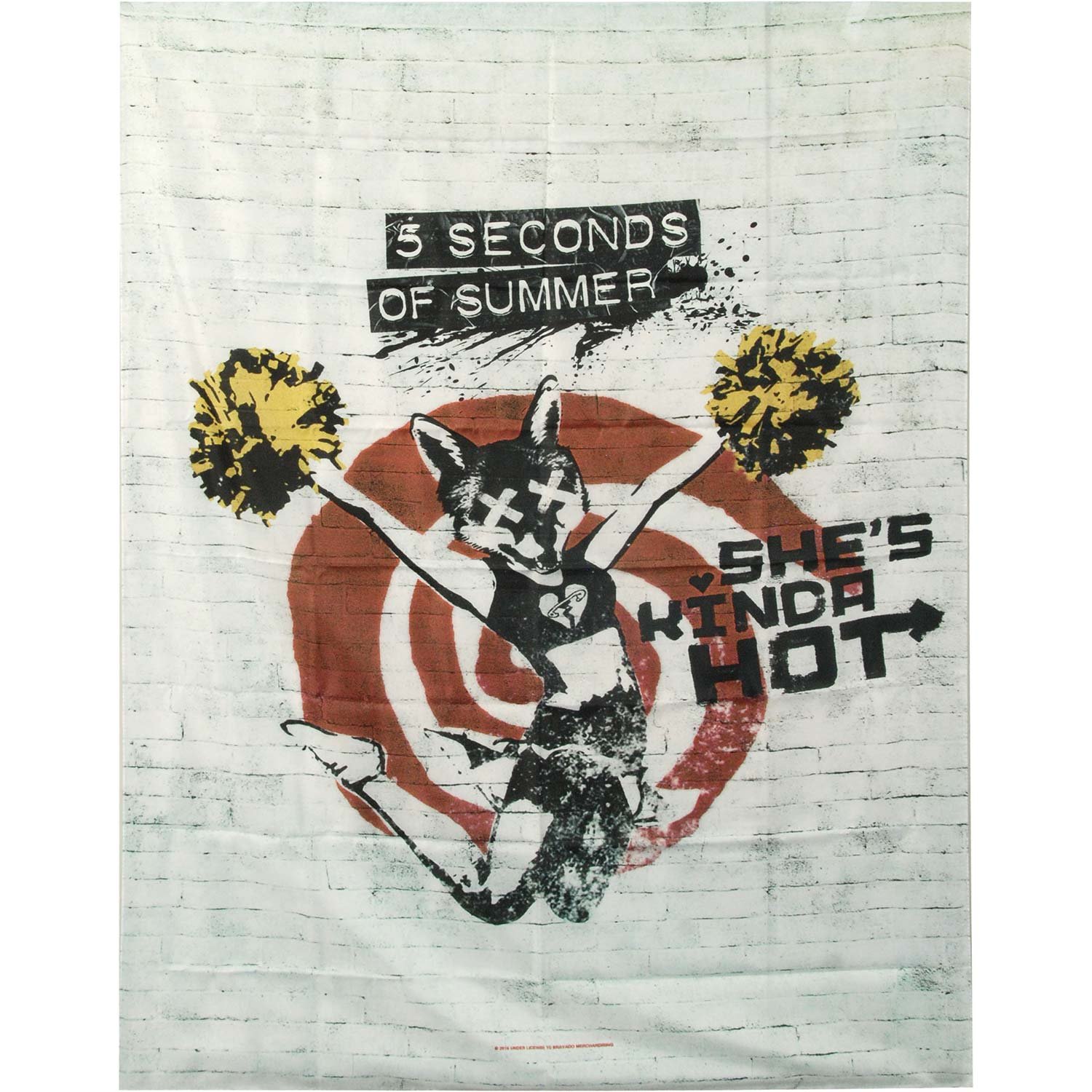 Amazon.com : 5 Seconds Of Summer Poster Flag : Home & Kitchen