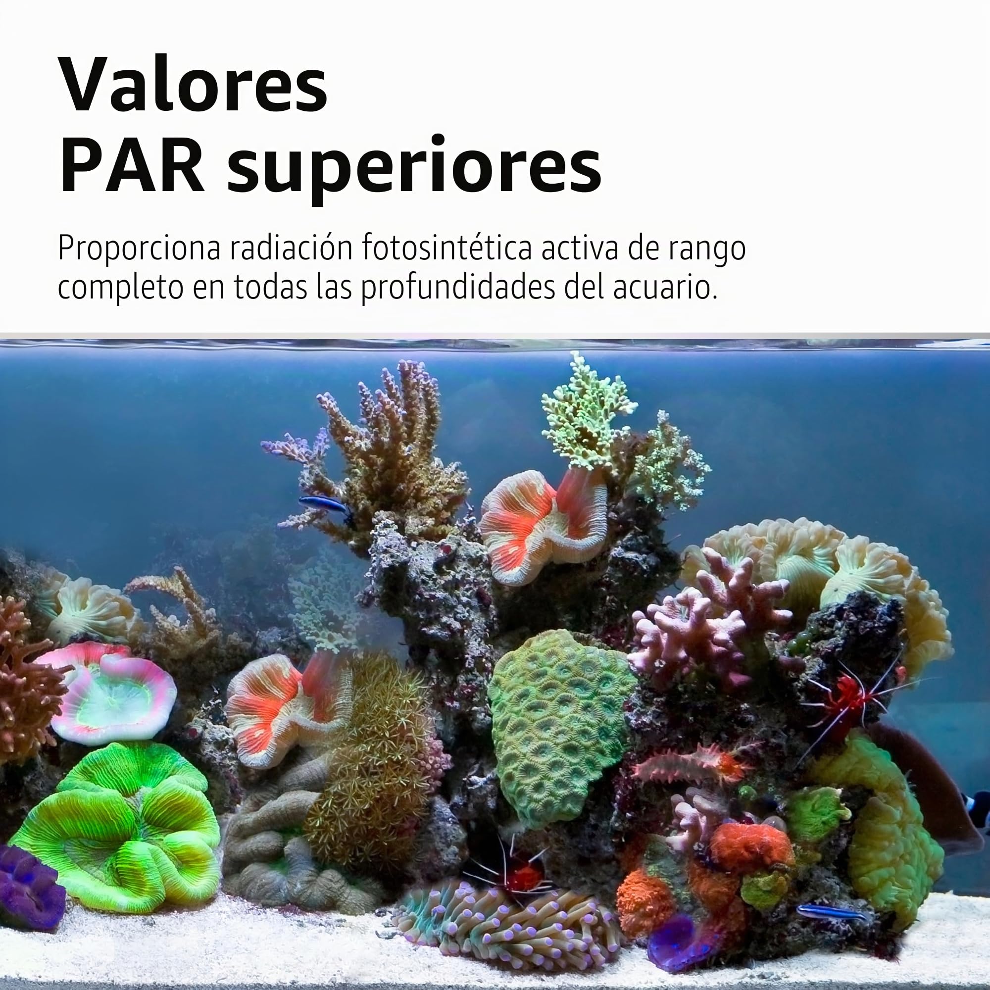 Pantalla para Acuario Marino Fluval Nano Reef 4.0 LED w/BT Mesh, 25 W