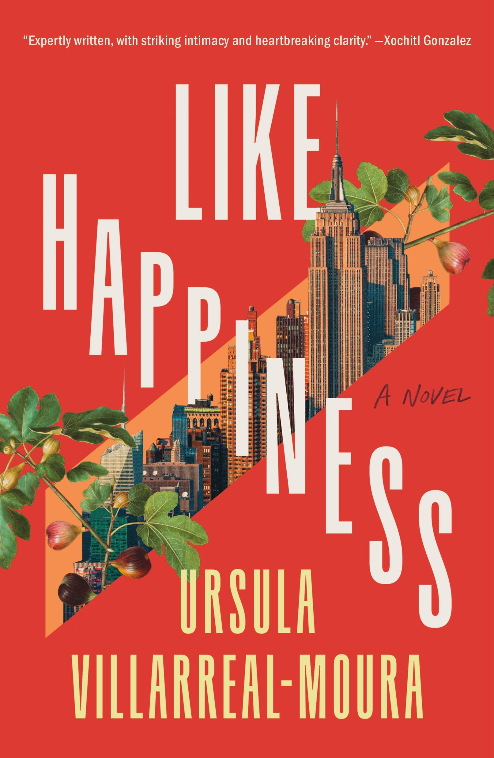Like Happiness: A Novel