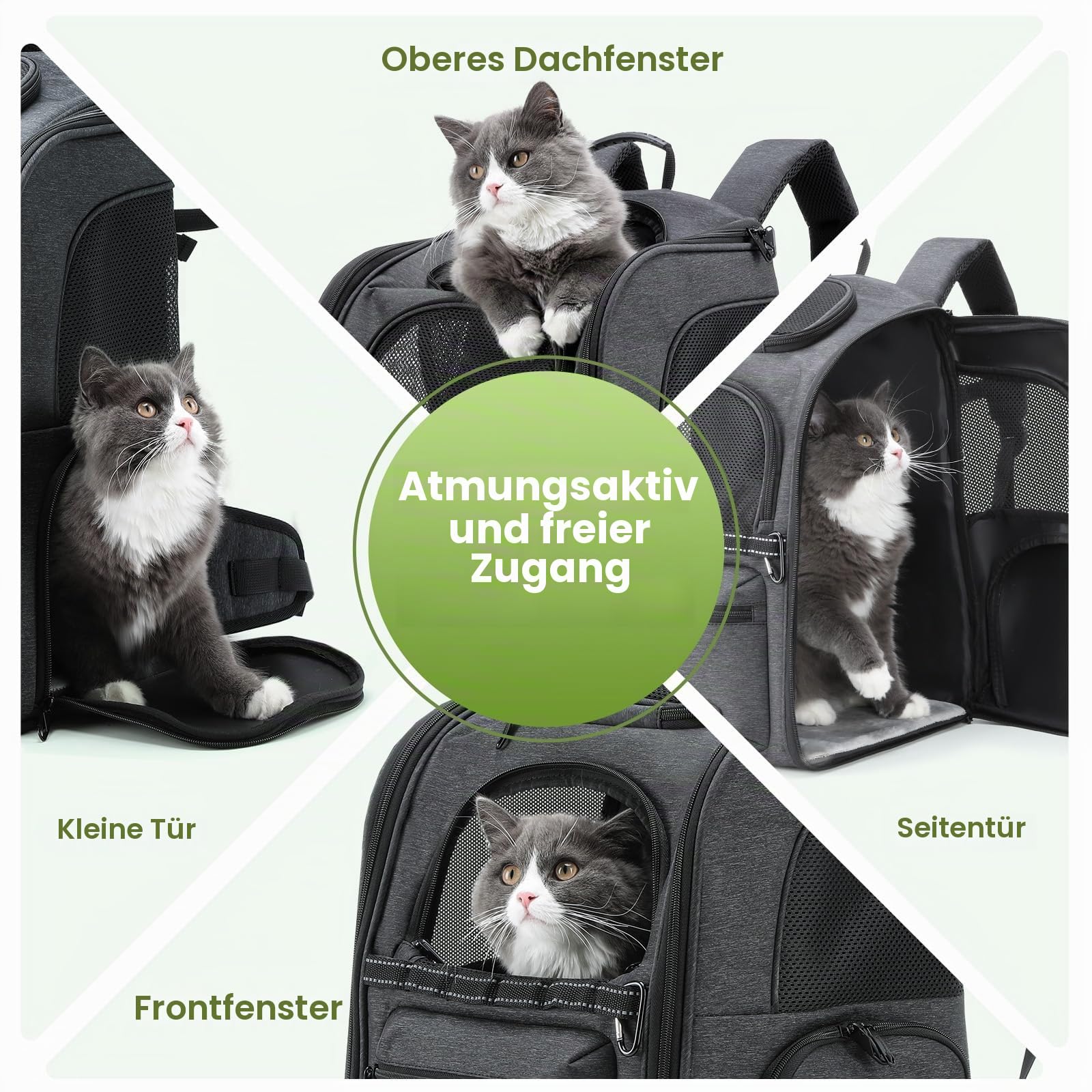 Pecute Katzenrucksack Hunderucksack Haustier Rucksack, Belastung Verringern Hundetasche, Katzentasche, Entlastungssystem Katzen Rucksack, Faltbar und Leicht, Atmungsaktiv, geeignet für Tiere bis 6 kg