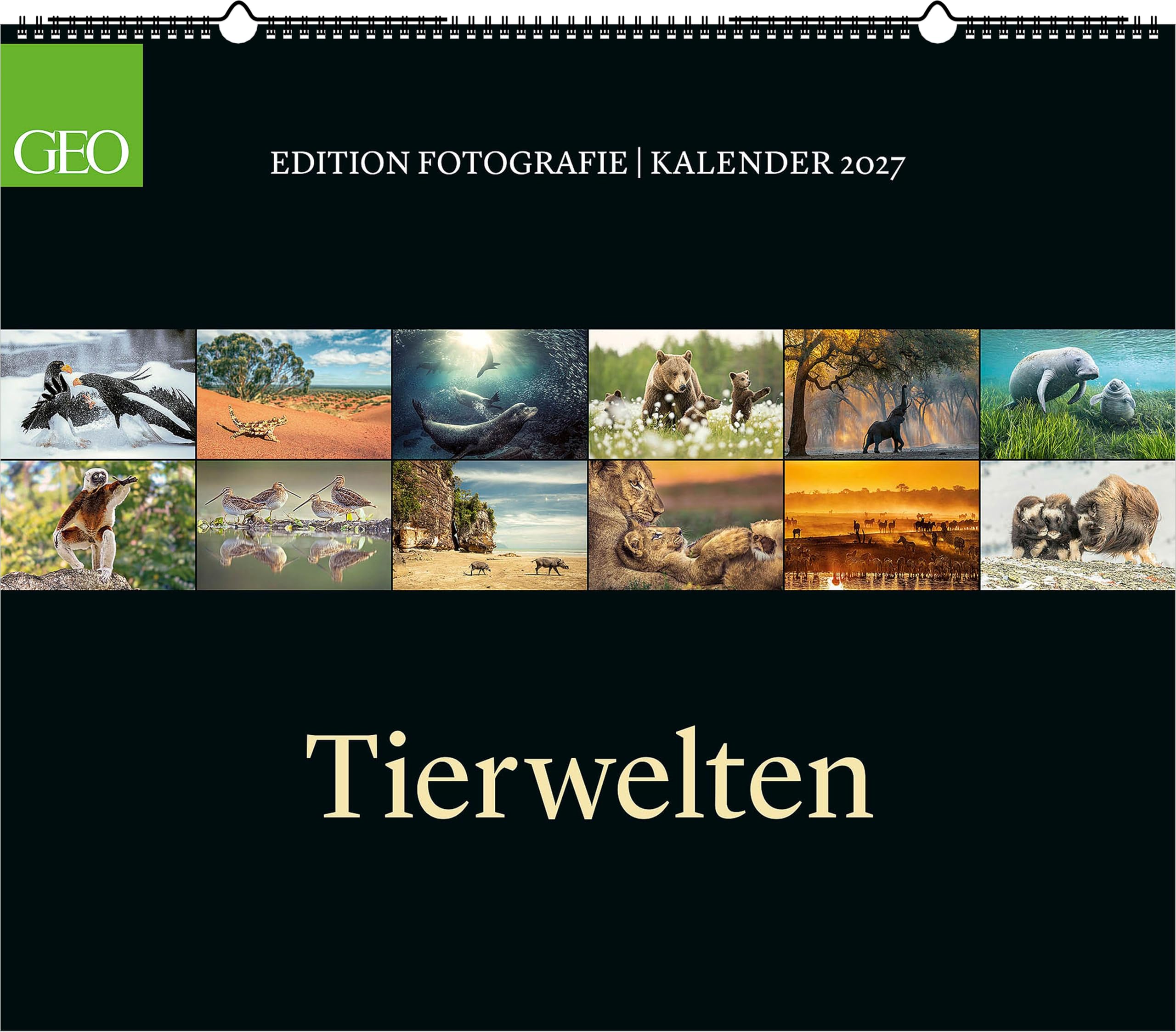 GEO Edition Tierwelten 2027 Wandkalender 70x60 cm mit 12 Tierfotografien, deutschem Kalendarium, Spiralbindung