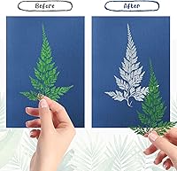 Vista 7 de Kit de 38 hojas de impresión solar cianotipo con 2 hojas acrílicas transparentes, papel de dibujo solar de alta sensibilidad para impresión