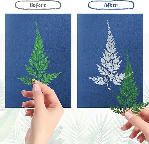 Miniatura 7 de Kit de 38 hojas de impresión solar cianotipo con 2 hojas acrílicas transparentes, papel de dibujo solar de alta sensibilidad para impresión de