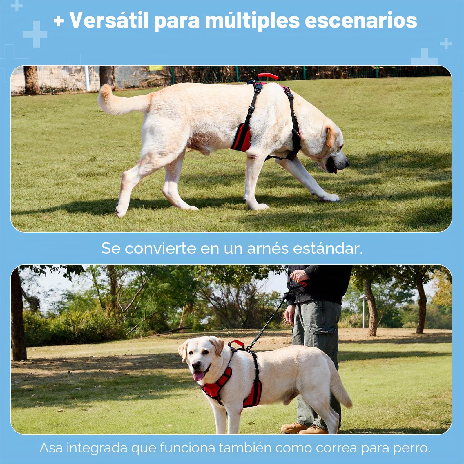 Arnés Elevador para Perros Medianos, Arnés de Soporte con Doble Asa para Asistencia Diaria al Caminar, Apto para Perros Macho, Transpirable y Fácil de Poner, Rojo, M