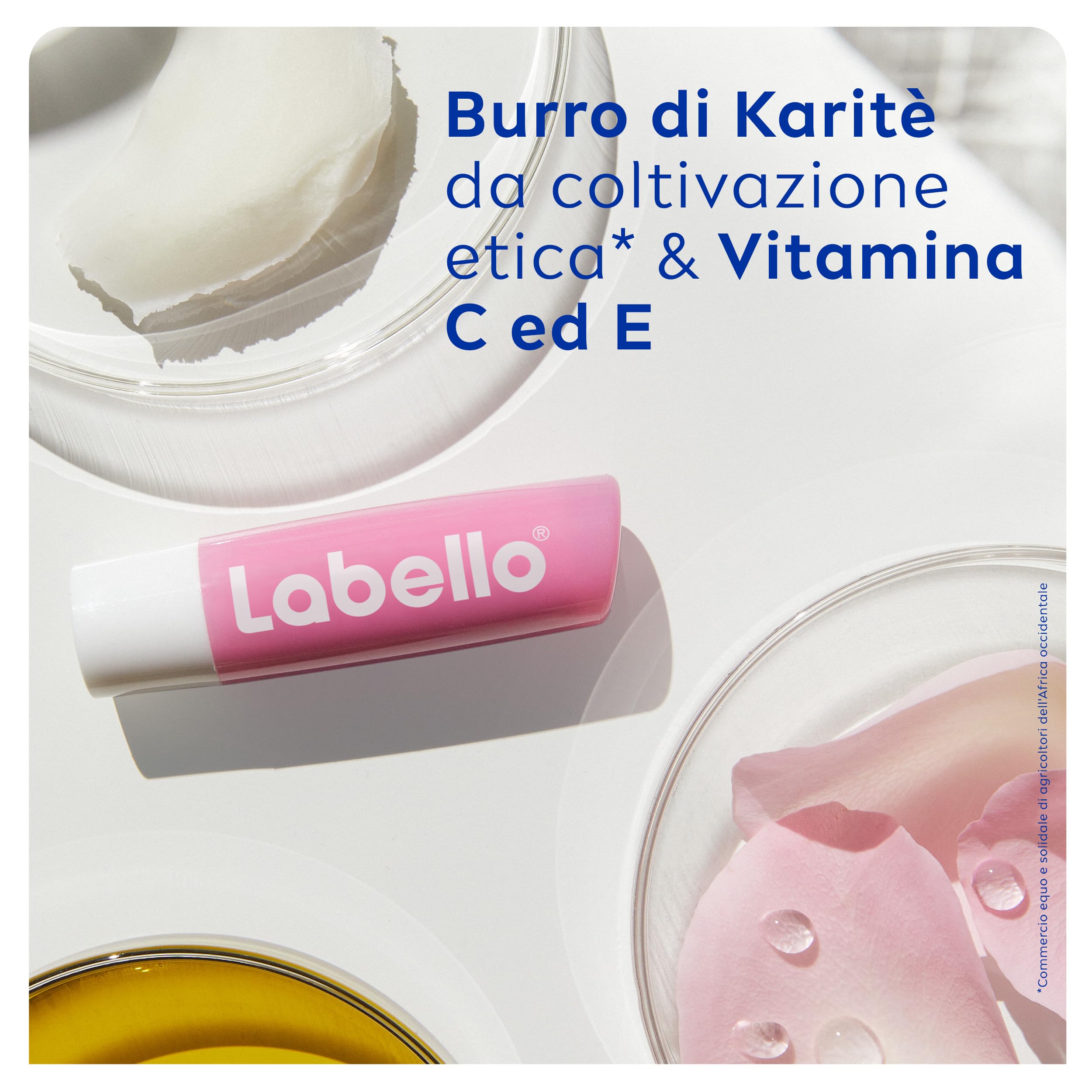 Labello Soft Rosé 4.8 g, Balsamo labbra colorato con estratto di rosa, Burrocacao labbra fondente con oli naturali e burro di karité, Lip balm idratante per 24 ore con pigmenti colorati