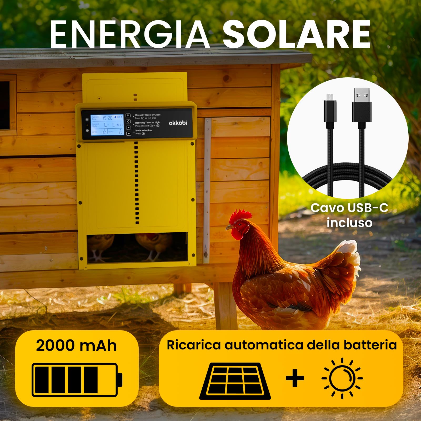Okkobi Porta Automatica Pollaio Solare - Display LCD - Porta Pollaio con telecomando, Sensore di luce e Timer - Sicurezza e tranquillità: Funzione Antipizzicamento - Protezione di 5 anni
