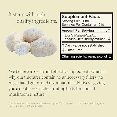 Miniatura 5 de UPHORIC URTH Extracto de melena de leones, tintura de hongos de cuerpo frutal de doble extracción, apoyo natural para claridad mental, función