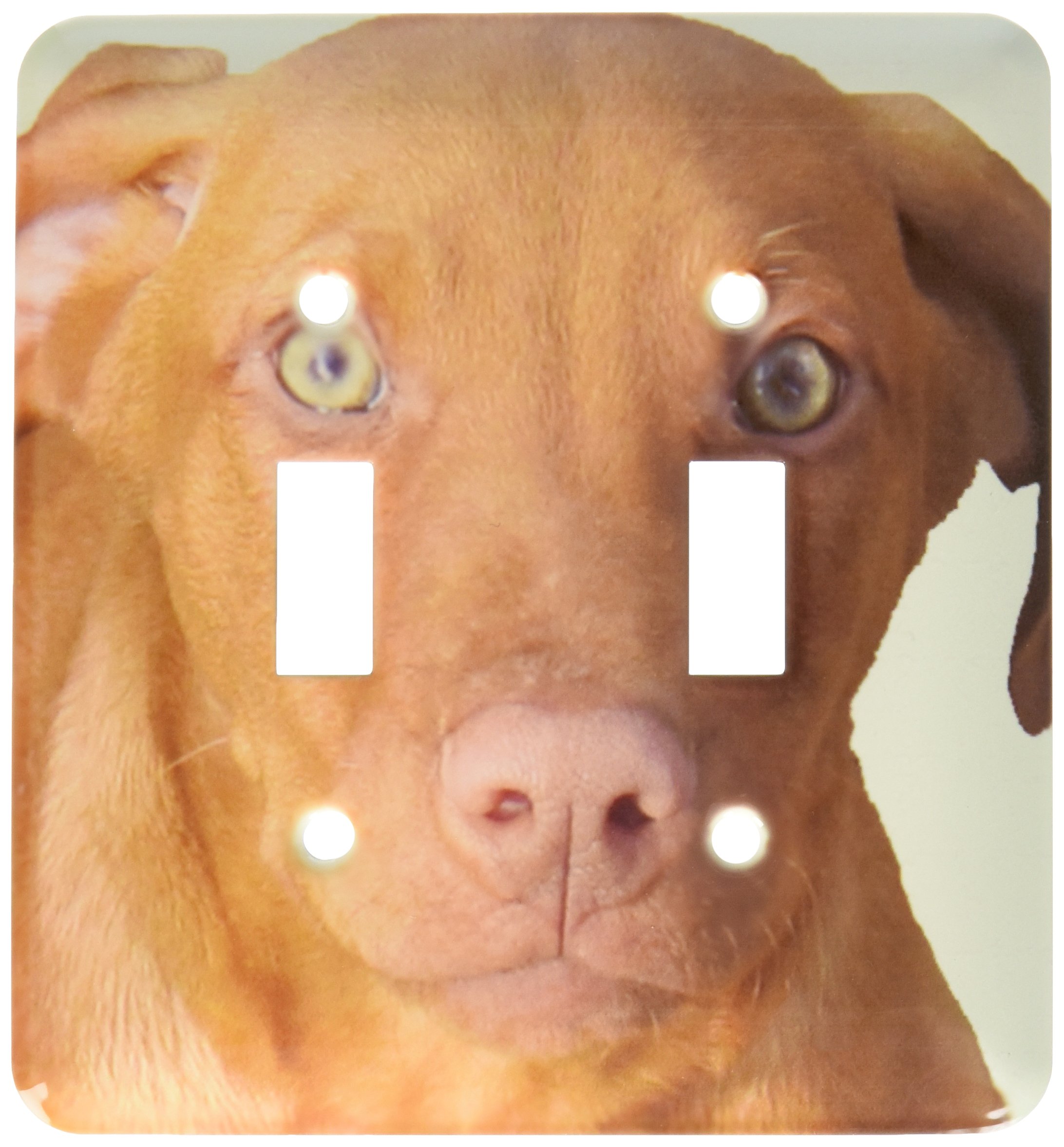Interrupteur Vizsla Puppy de qualité supérieure par 3dRose LSP_48744_2