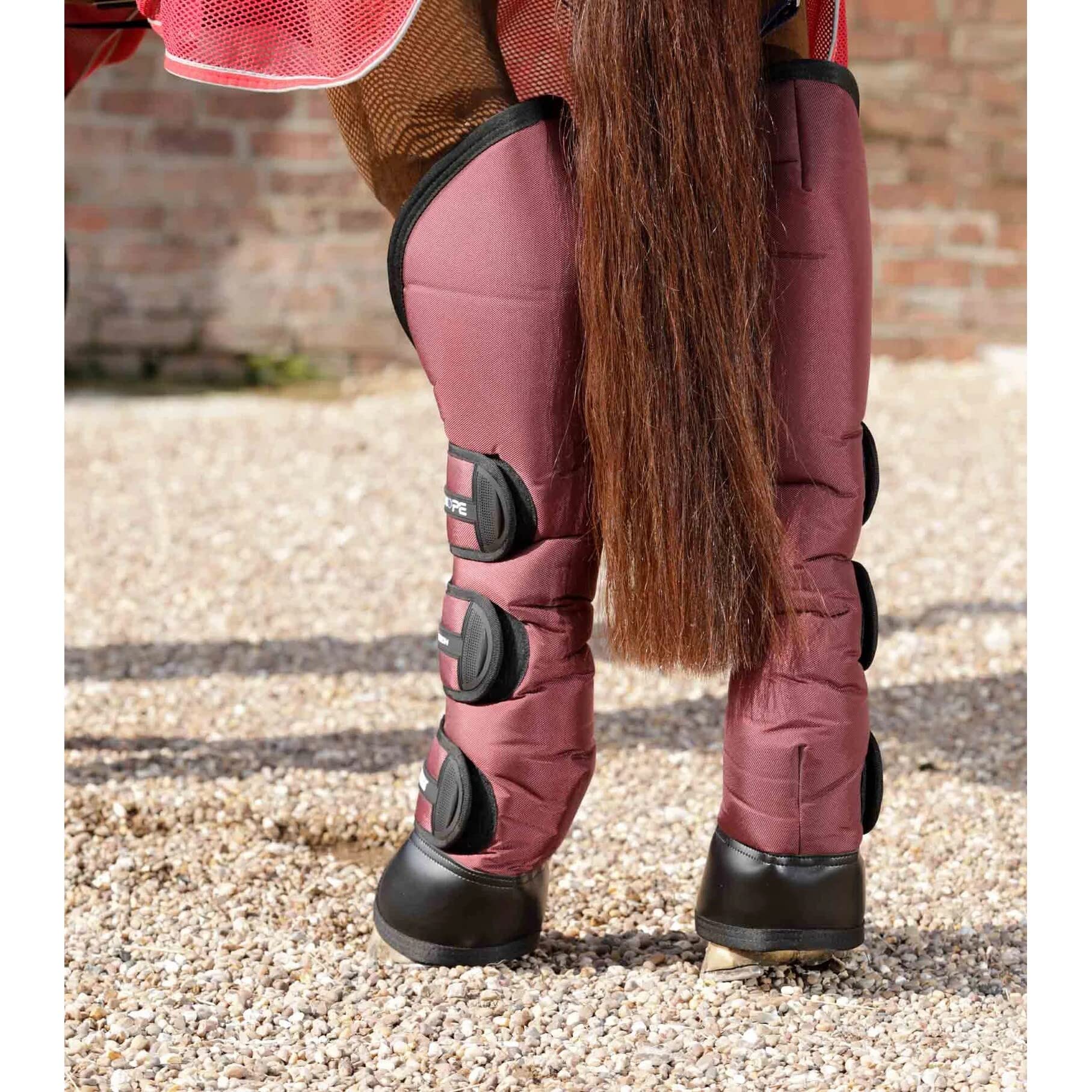 Premier Equine Botas de Transporte para Caballos Ballistic Pro-Tech