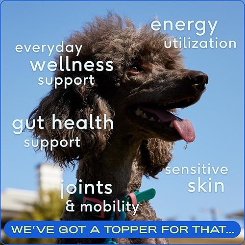 Miniatura 2 de Native Pet The Daily Dog Supplement  Multivitamínico 11 en 1 para perros  Cuchara sabrosa con vitaminas y suplementos para perros  Super Multi