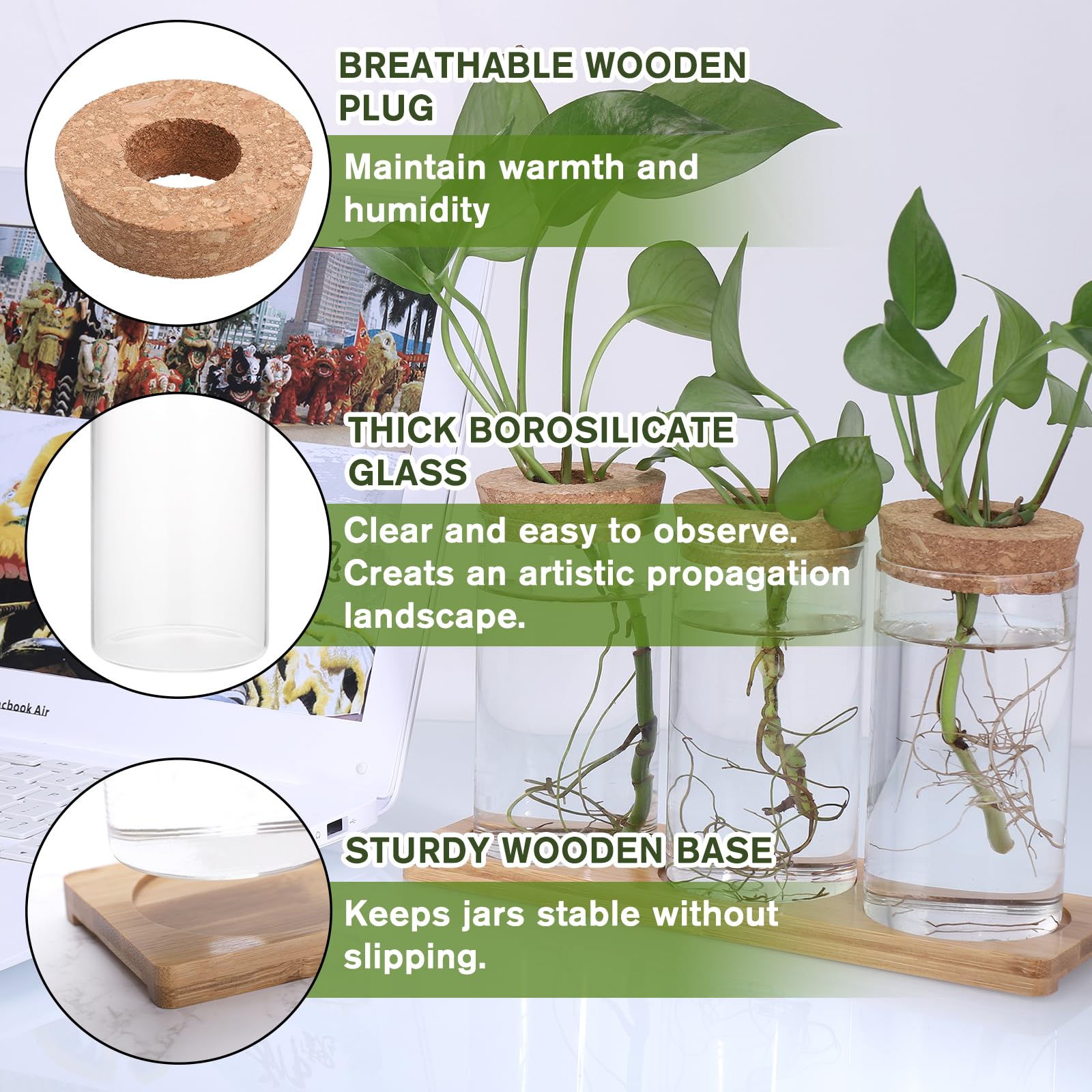 Station De Propagation Pour Boutures - 3 Vases En Verre Avec Socle En Bois - Idéale Pour L'hydroponie Et La Décoration Intérieure