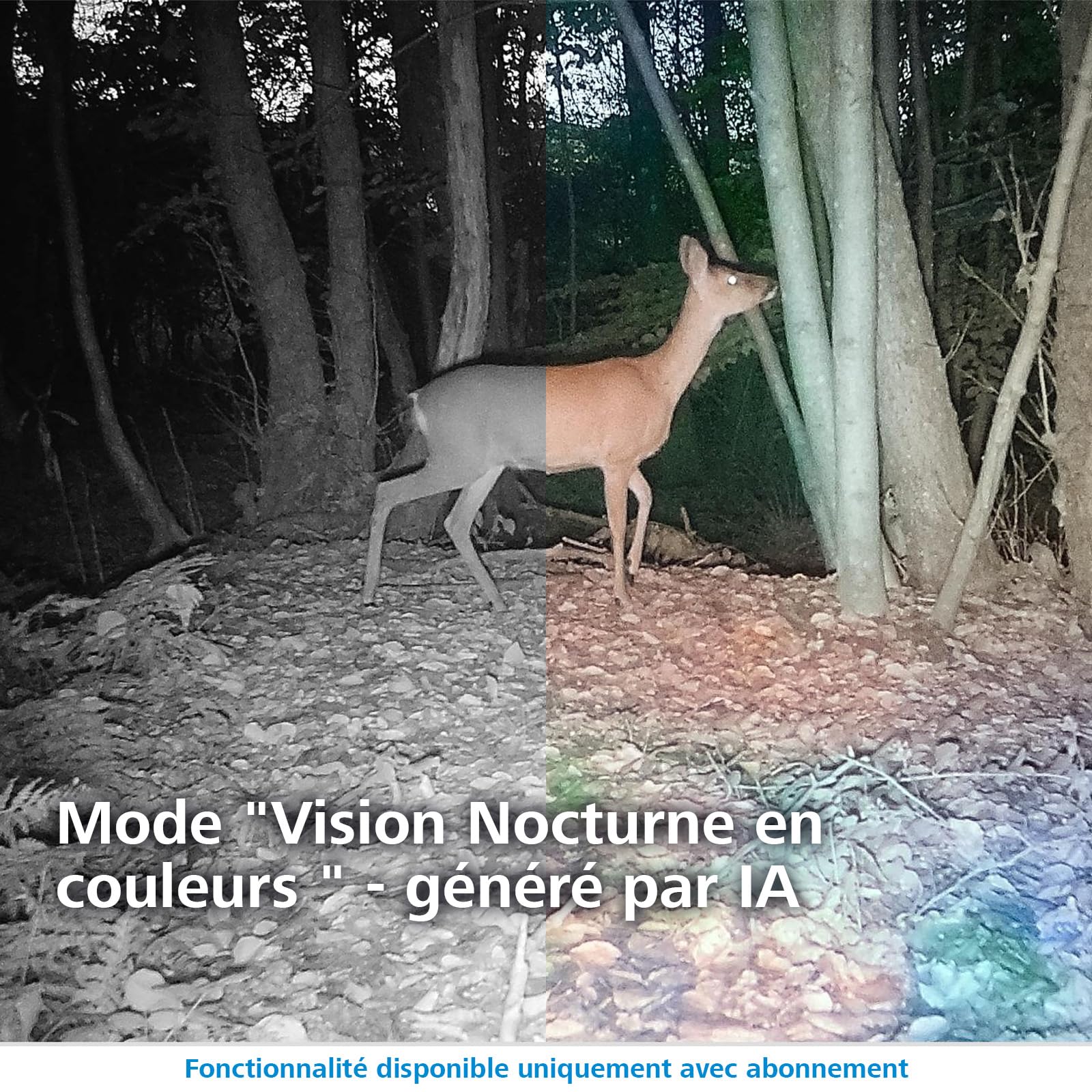 ZEISS Secacam 3-Caméra de Chasse Connectée 4G LTE, SIM, APP, 12MP, HD1080, Détection Infrarouge 20 m, Vision Nocturne, Étanche IP66, Angle 60, 60 LEDs Noires Invisibles, Surveillance Faune